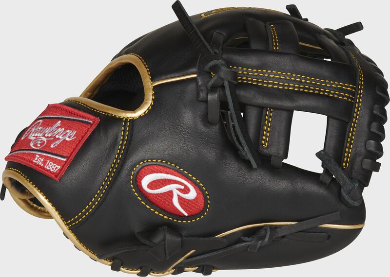 Rawlings R9 9.5" Training Glove - Game Ready Sports - R9TRBG-3/0